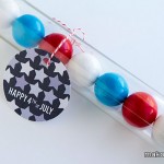 4th of July Party Favor & Printables